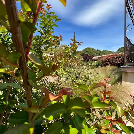 Les Jardins De Sta Giulia Avec Piscine