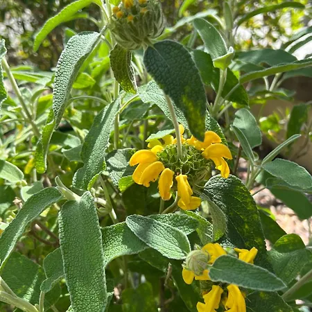 Les Jardins De Sta Giulia Avec Piscine Πόρτο Βέκιο