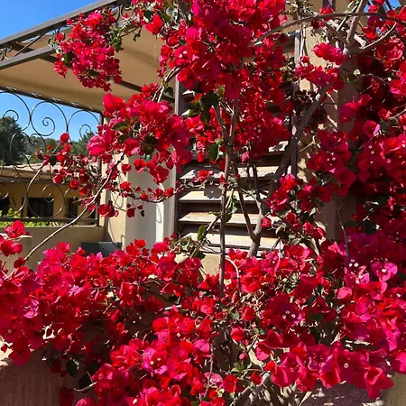 Les Jardins De Sta Giulia Avec Piscine