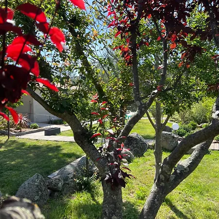 Les Jardins De Sta Giulia Avec Piscine * Πόρτο Βέκιο