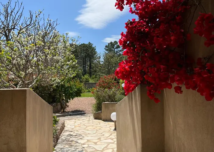 Les Jardins De Sta Giulia Avec Piscine Porto-Vecchio (Corsica)
