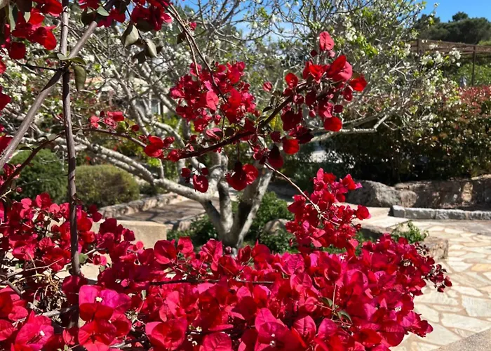 Les Jardins De Sta Giulia Avec Piscine