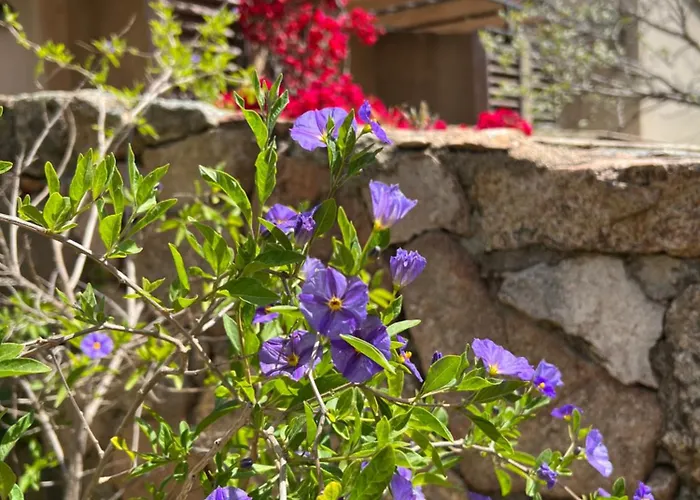 Les Jardins De Sta Giulia Avec Piscine Hotel