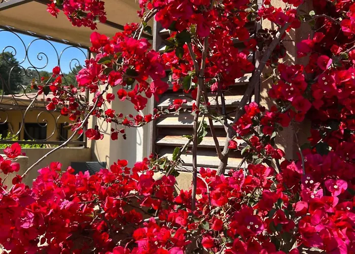 Les Jardins De Sta Giulia Avec Piscine