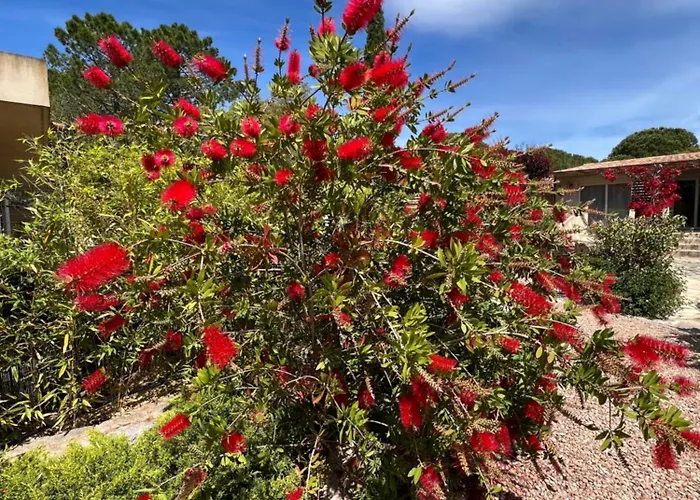 Hotel Les Jardins De Sta Giulia Avec Piscine *