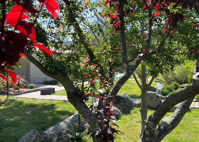 Les Jardins De Sta Giulia Avec Piscine * Porto-Vecchio (Corsica)