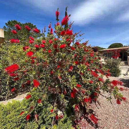 Hotel Les Jardins De Sta Giulia Avec Piscine Porto-Vecchio (Corsica)