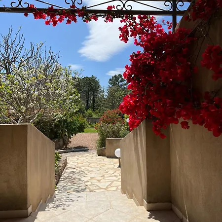 Les Jardins De Sta Giulia Avec Piscine Porto-Vecchio (Corsica)