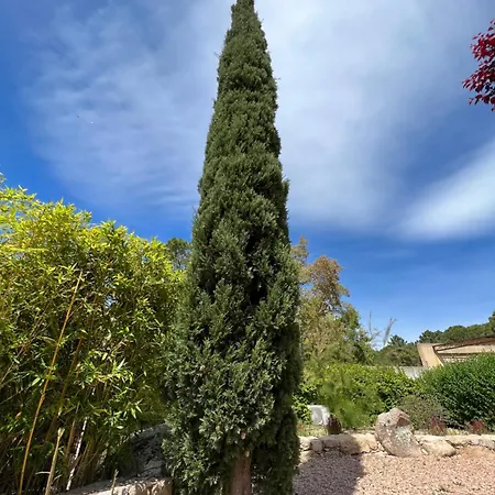 Les Jardins De Sta Giulia Avec Piscine Hotel