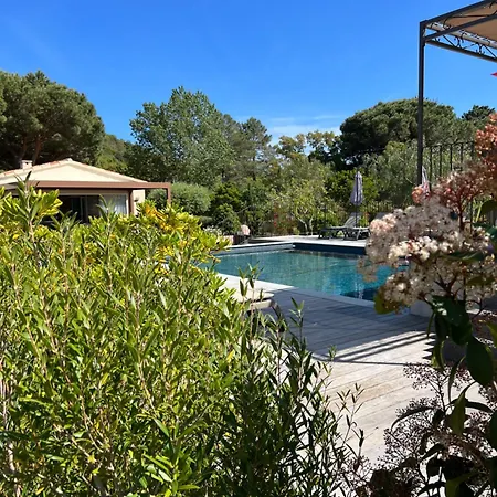 Les Jardins De Sta Giulia Avec Piscine * Porto-Vecchio (Corsica)
