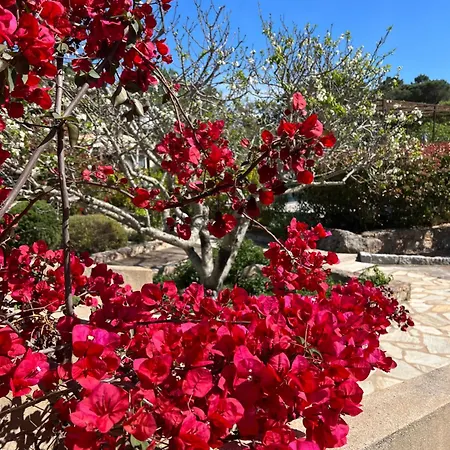 Les Jardins De Sta Giulia Avec Piscine