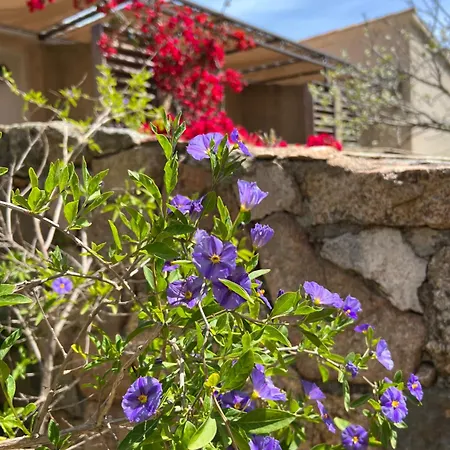 Les Jardins De Sta Giulia Avec Piscine Hotel