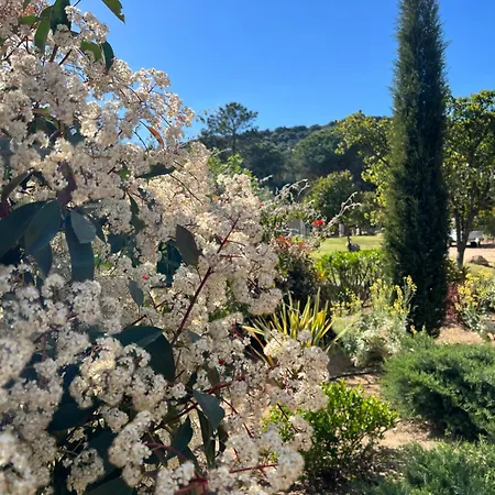 Hotel Les Jardins De Sta Giulia Avec Piscine