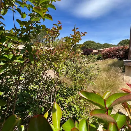 Les Jardins De Sta Giulia Avec Piscine Hotel Porto-Vecchio (Corsica)