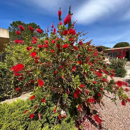 Hotel Les Jardins De Sta Giulia Avec Piscine *
