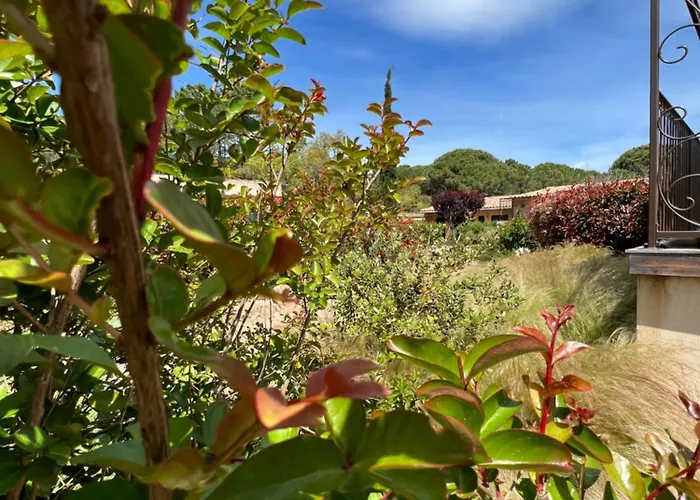 Les Jardins De Sta Giulia Avec Piscine