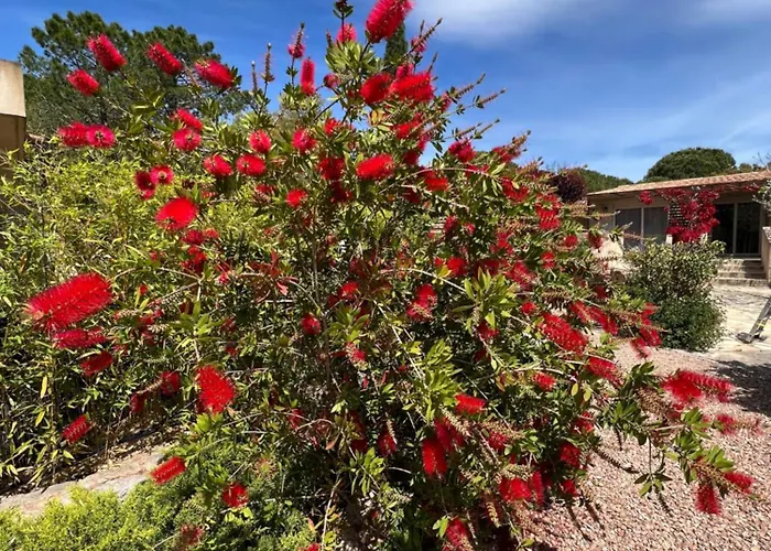 Otel Les Jardins De Sta Giulia Avec Piscine Porto-Vecchio (Corsica)