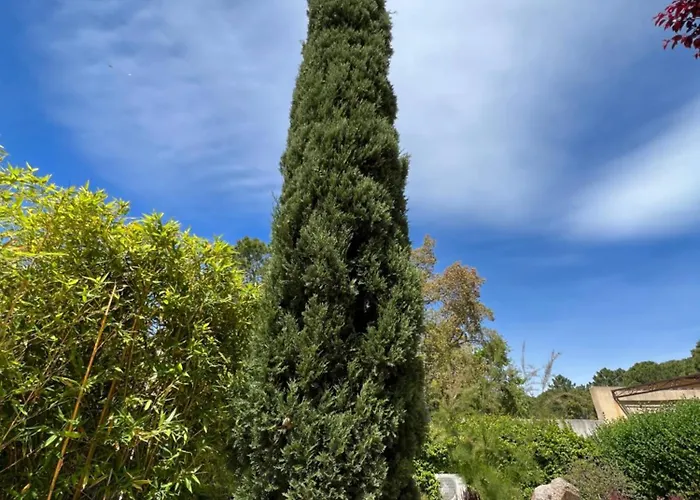 Les Jardins De Sta Giulia Avec Piscine Otel