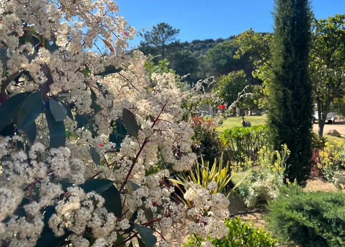 Otel Les Jardins De Sta Giulia Avec Piscine