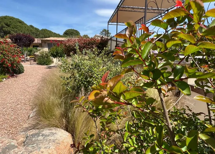 Otel Les Jardins De Sta Giulia Avec Piscine Porto-Vecchio (Corsica)